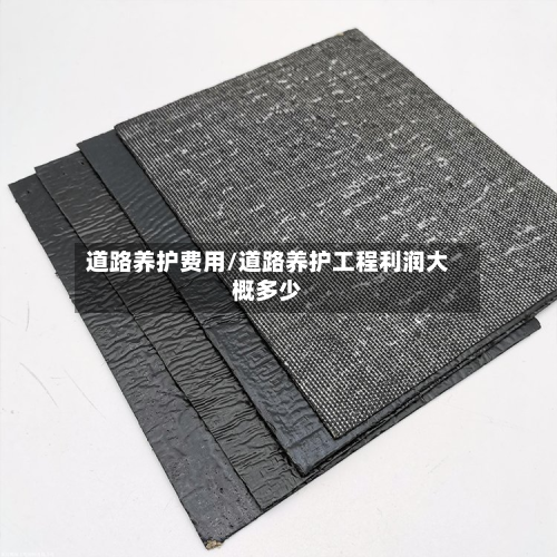 道路养护费用/道路养护工程利润大概多少-第2张图片