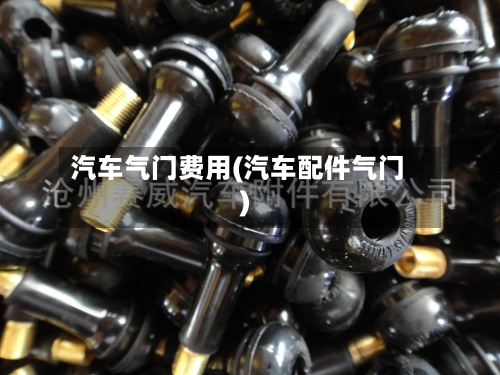 汽车气门费用(汽车配件气门)