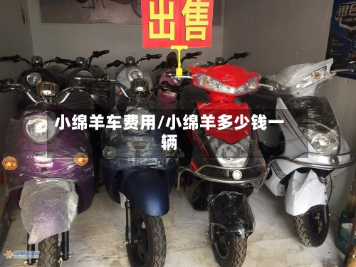小绵羊车费用/小绵羊多少钱一辆-第2张图片
