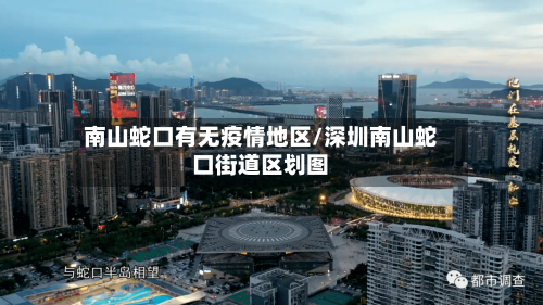 南山蛇口有无疫情地区/深圳南山蛇口街道区划图