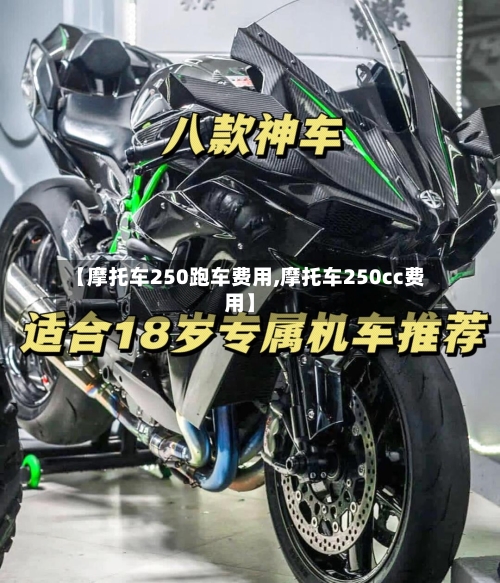 【摩托车250跑车费用,摩托车250cc费用】