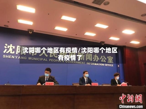 沈阳哪个地区有疫情/沈阳哪个地区有疫情了