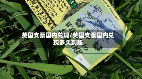 英国支票国内兑现/英国支票国内兑现多久到账-第3张图片
