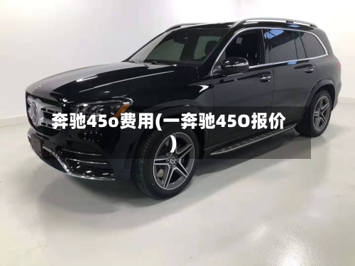奔驰45o费用(一奔驰45O报价)