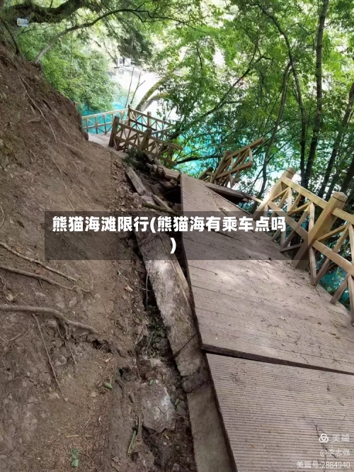 熊猫海滩限行(熊猫海有乘车点吗)