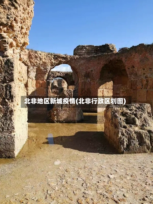 北非地区新城疫情(北非行政区划图)