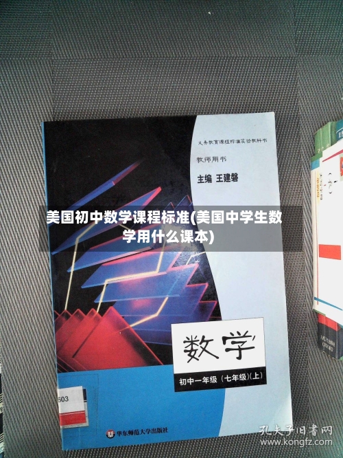 美国初中数学课程标准(美国中学生数学用什么课本)
