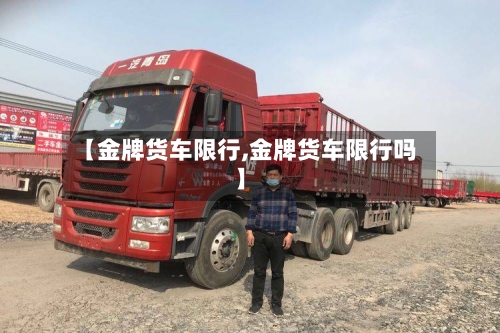【金牌货车限行,金牌货车限行吗】-第3张图片