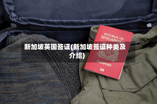 新加坡英国签证(新加坡签证种类及介绍)-第2张图片