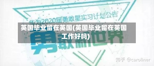 英国毕业留在英国(英国毕业留在英国工作好吗)-第3张图片