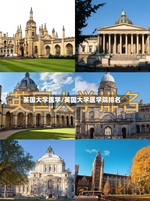 英国大学医学/英国大学医学院排名