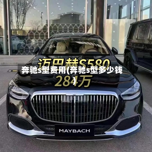 奔驰s型费用(奔驰s型多少钱)-第2张图片