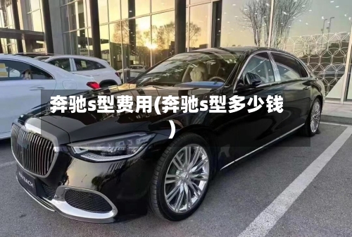 奔驰s型费用(奔驰s型多少钱)