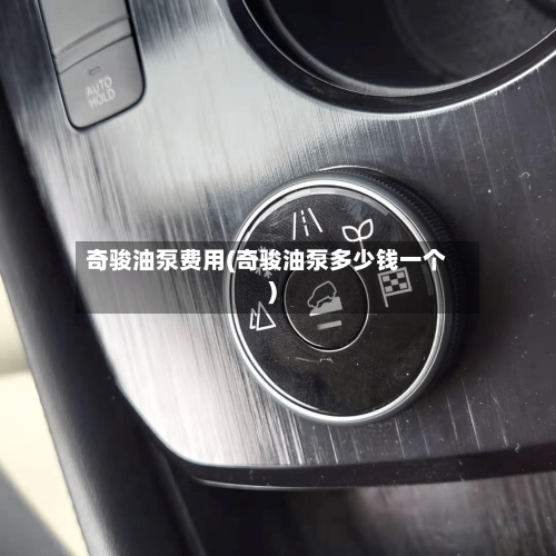 奇骏油泵费用(奇骏油泵多少钱一个)
