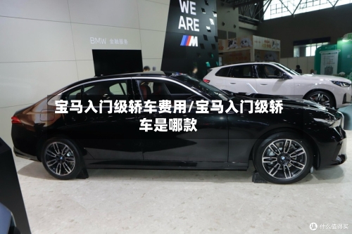 宝马入门级轿车费用/宝马入门级轿车是哪款-第3张图片