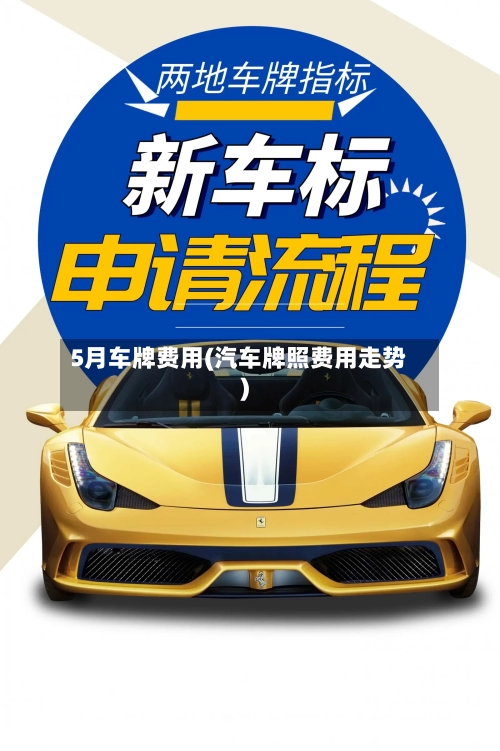 5月车牌费用(汽车牌照费用走势)