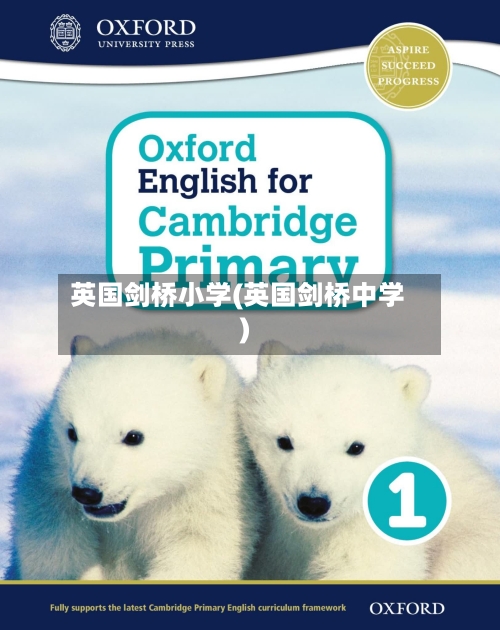 英国剑桥小学(英国剑桥中学)