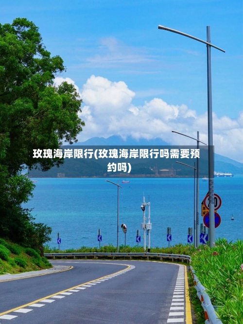 玫瑰海岸限行(玫瑰海岸限行吗需要预约吗)