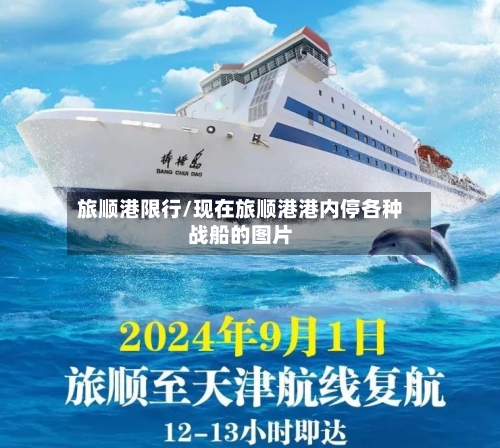 旅顺港限行/现在旅顺港港内停各种战船的图片-第2张图片