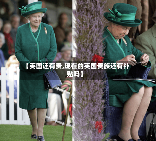 【英国还有贵,现在的英国贵族还有补贴吗】-第2张图片