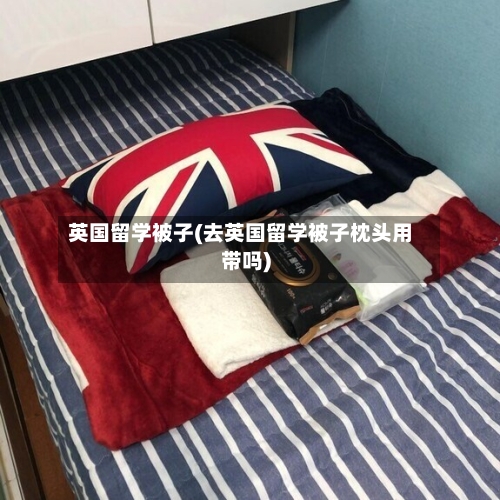 英国留学被子(去英国留学被子枕头用带吗)-第2张图片
