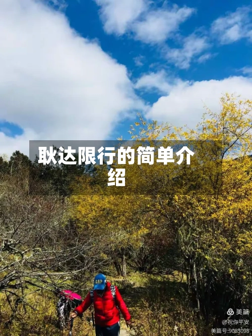 耿达限行的简单介绍-第3张图片
