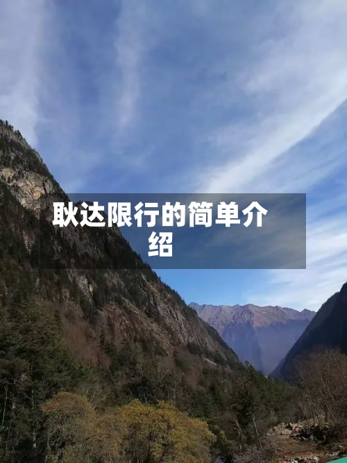 耿达限行的简单介绍