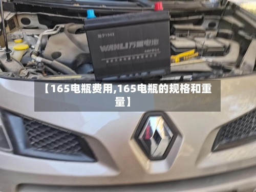 【165电瓶费用,165电瓶的规格和重量】-第2张图片
