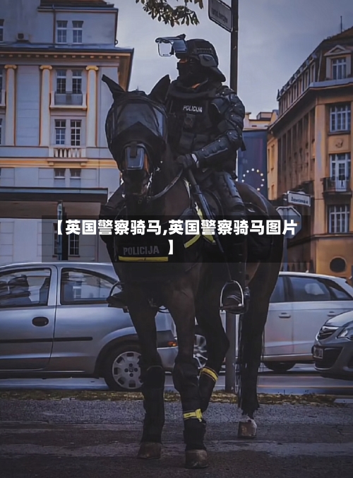 【英国警察骑马,英国警察骑马图片】-第3张图片