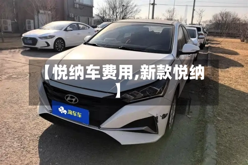 【悦纳车费用,新款悦纳】-第2张图片