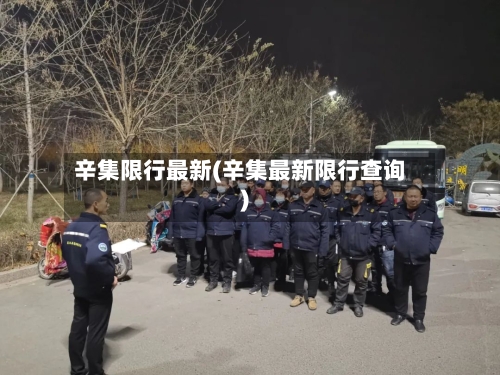 辛集限行最新(辛集最新限行查询)