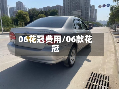 06花冠费用/06款花冠-第2张图片