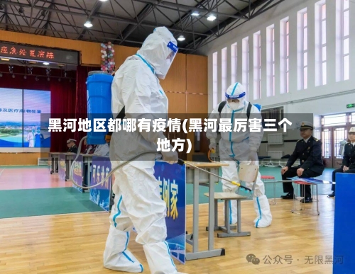 黑河地区都哪有疫情(黑河最厉害三个地方)-第3张图片