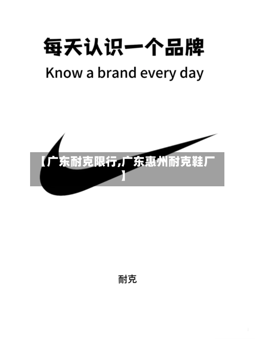 【广东耐克限行,广东惠州耐克鞋厂】-第2张图片