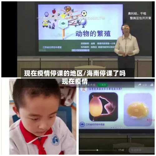 现在疫情停课的地区/海南停课了吗现在疫情-第3张图片
