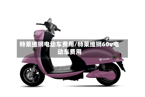 特莱维狮电动车费用/特莱维狮60v电动车费用
