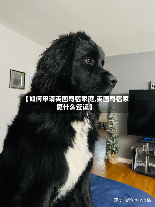 【如何申请英国寄宿家庭,英国寄宿家庭什么签证】