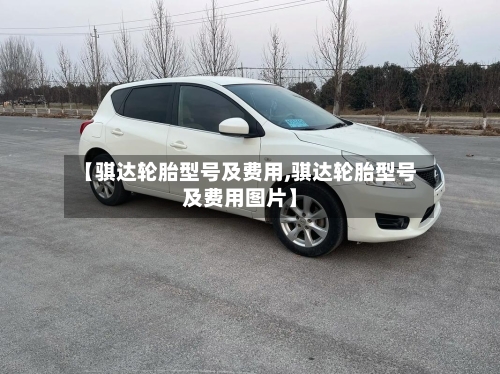 【骐达轮胎型号及费用,骐达轮胎型号及费用图片】