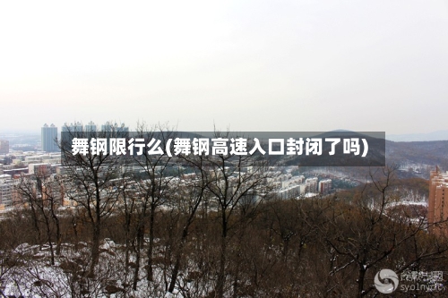 舞钢限行么(舞钢高速入口封闭了吗)