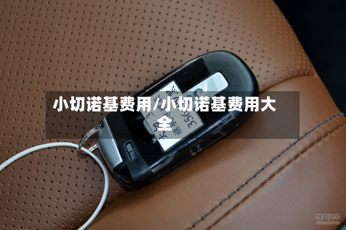 小切诺基费用/小切诺基费用大全