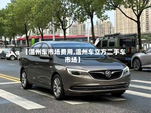 【温州车市场费用,温州车立方二手车市场】-第2张图片