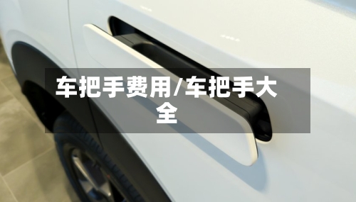 车把手费用/车把手大全-第2张图片