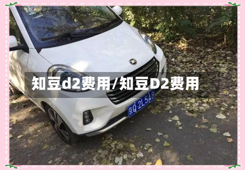 知豆d2费用/知豆D2费用