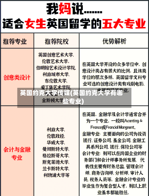 英国约克大学传媒(英国约克大学有哪些专业)-第2张图片