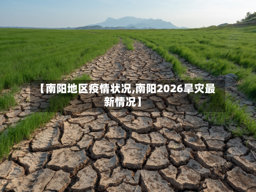 【南阳地区疫情状况,南阳2026旱灾最新情况】-第3张图片