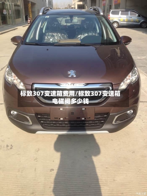 标致307变速箱费用/标致307变速箱电磁阀多少钱-第3张图片
