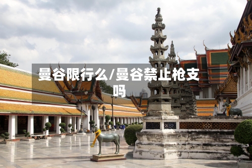 曼谷限行么/曼谷禁止枪支吗-第2张图片
