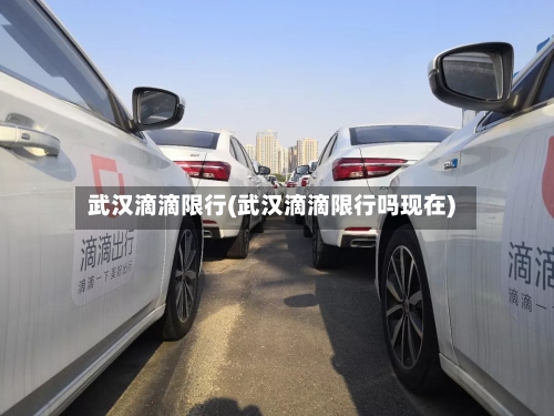 武汉滴滴限行(武汉滴滴限行吗现在)