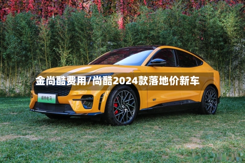 金尚酷费用/尚酷2024款落地价新车