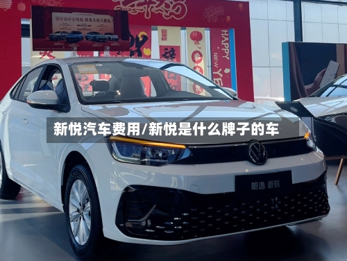 新悦汽车费用/新悦是什么牌子的车-第2张图片